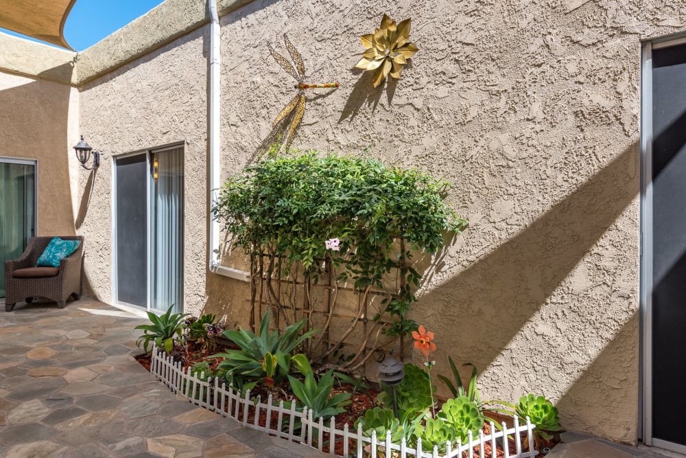 Paved walkways and greenery at Pacifica Senior Living Santa Barbara in Santa Barbara, California