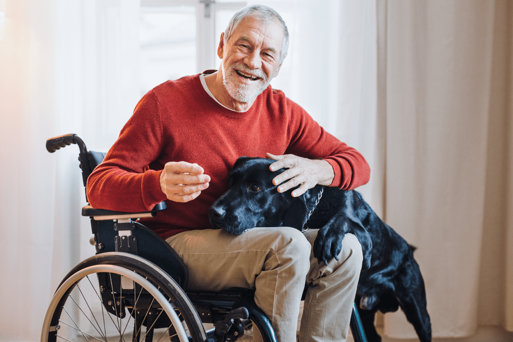 Resident in wheelchair smiling while petting his black labrador