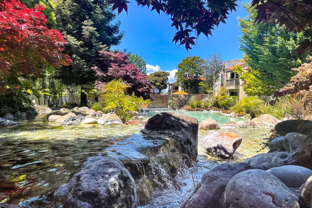 Beautiful landscaping at Spring Creek Apartments in Santa Clara, California