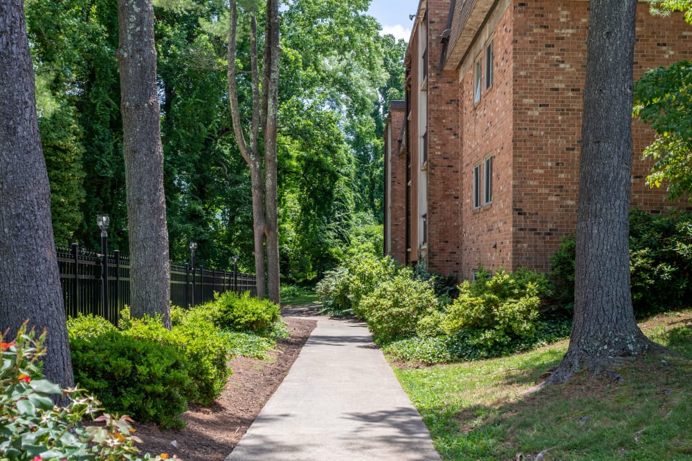 Well-landscaped walkway at University Heights in Charlottesville, Virginia
