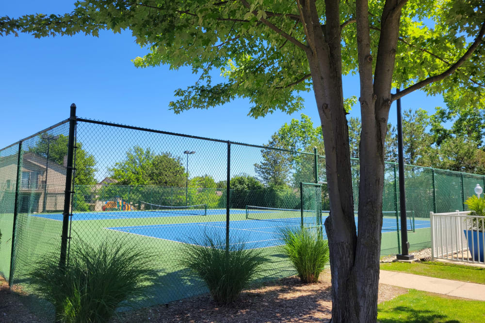 Tennis courts at Briar Cove Terrace Apartments in Ann Arbor, Michigan
