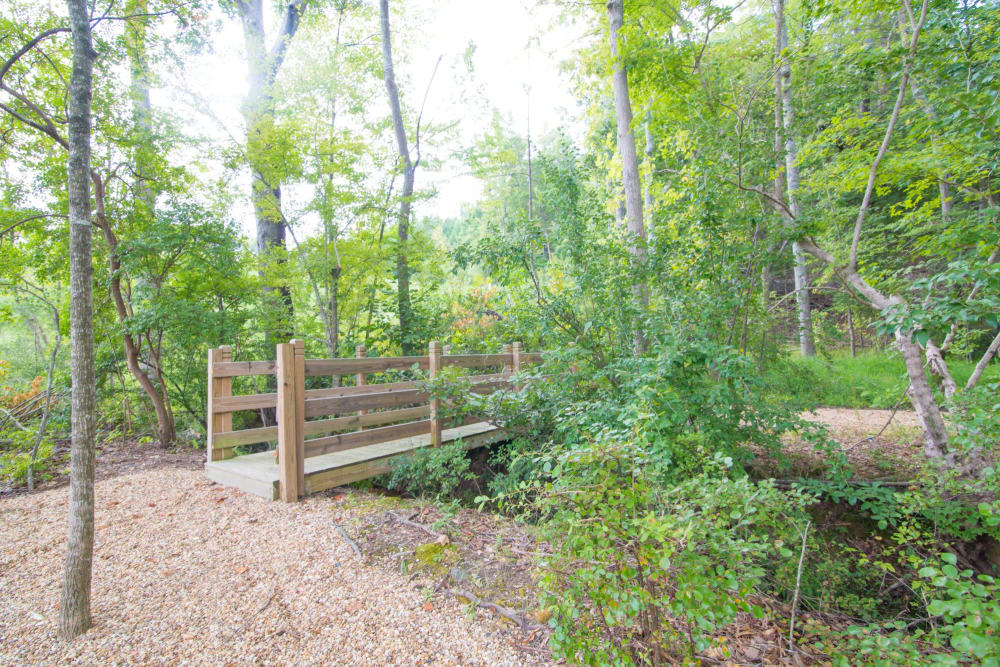Well maintained bridge and trail at Charleston Row Townhomes in Pineville, North Carolina