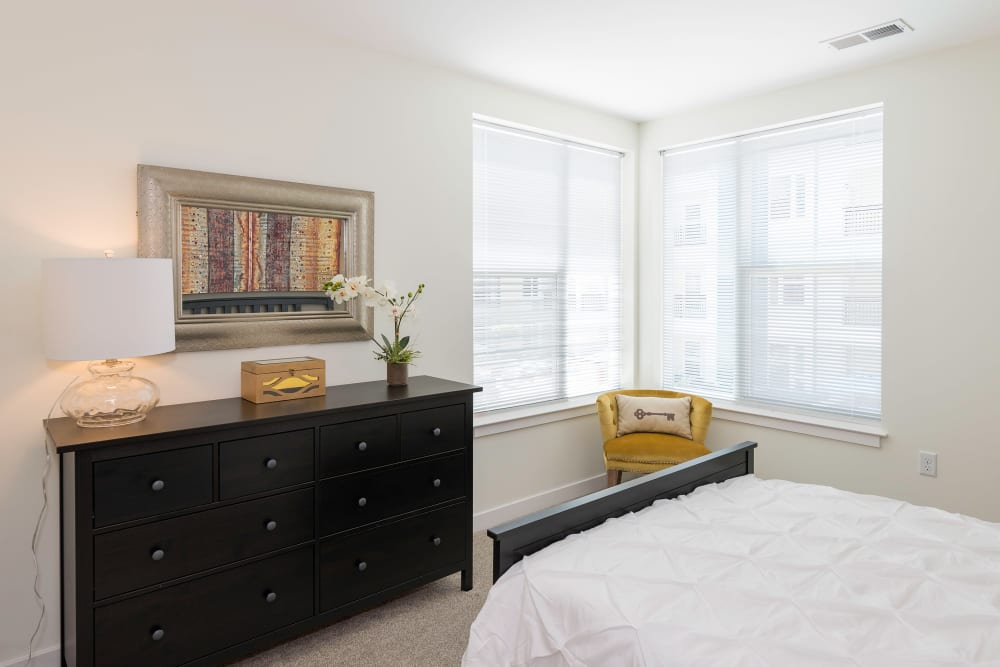 Lots of windows in a bedroom at Element at Ghent in Norfolk, Virginia