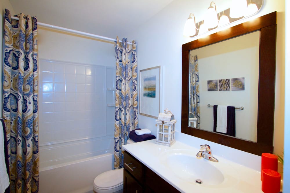 tidy bathroom at Aspen Apartments in Virginia Beach, Virginia