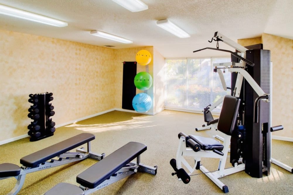 communtiy fitness center at Willow Lake Apartments in Virginia Beach, Virginia