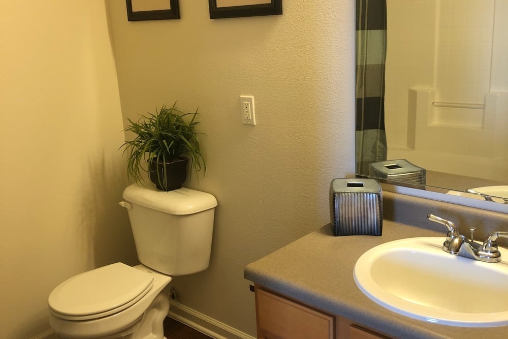 Resident bathroom with counter space and mirror at Watersedge in Champaign, Illinois