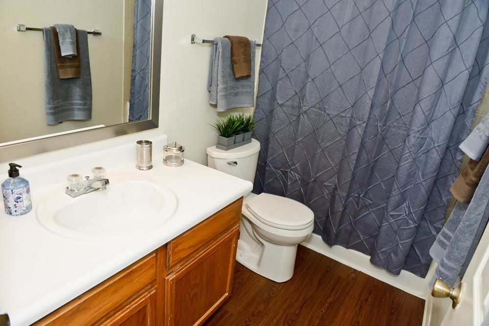 Mirror and counter space in resident bathroom at Hunters Point in Zionsville, Indiana