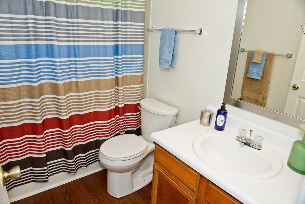 Retro-style designed bathroom at Hunters Point in Zionsville, Indiana