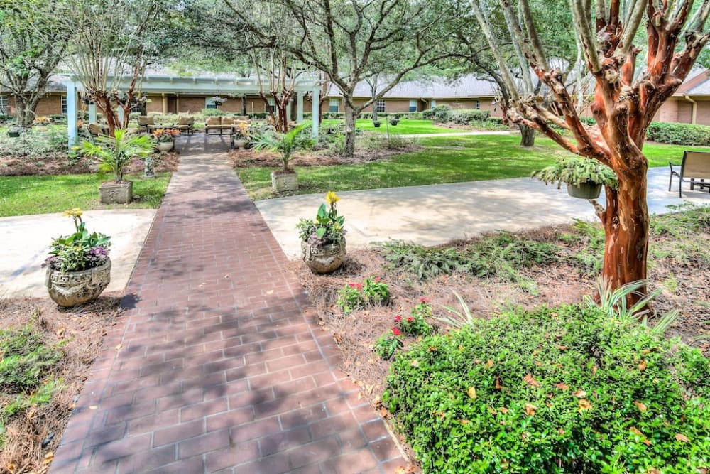 Outdoor walkways at Pacifica Senior Living Woodmont in Tallahassee, Florida