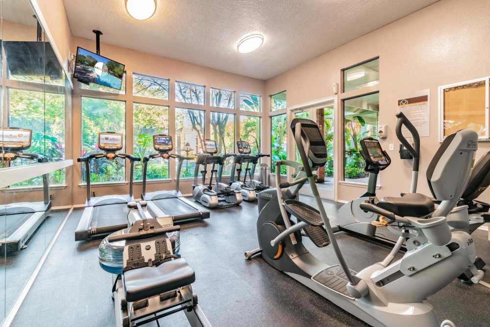Fitness center with cardio machines at 4800 Westshore in Tampa, Florida