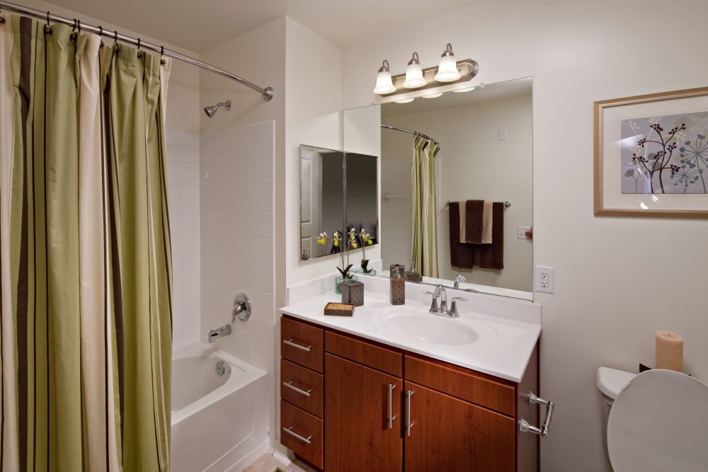 One bedroom apartment master bath at Vista at Town Green in Elmsford, New York
