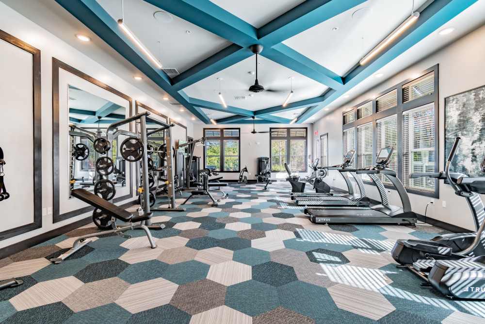 Fitness center with cardio equipment at Vue on Lake Monroe in Sanford, Florida
