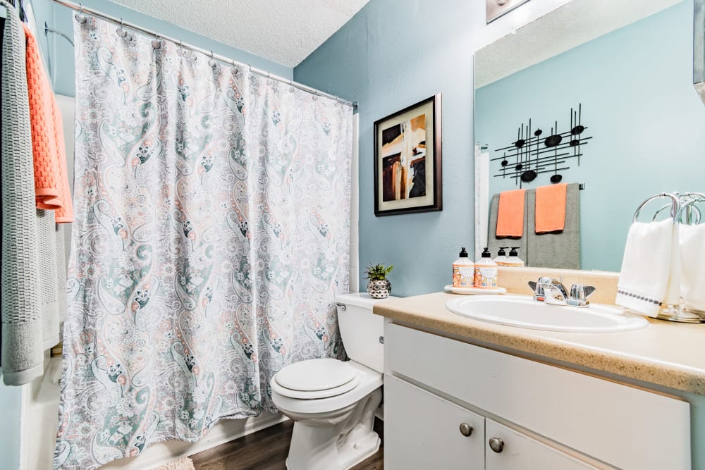 Bathroom with a large vanity and a tub/shower at Coopers Pond in Tampa, Florida