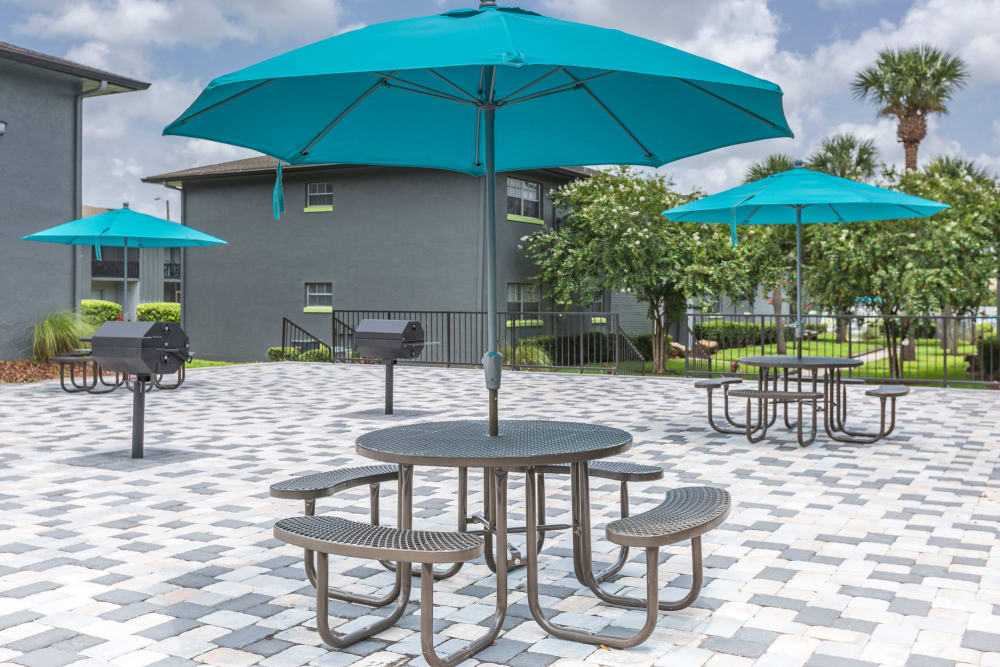 Grilling and picnic patio at Central Place at Winter Park in Winter Park, Florida