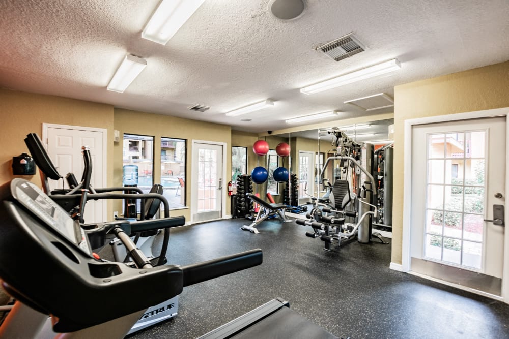 Well-equipped fitness center with cardio equipment at Waterstone At Carrollwood in Tampa, Florida
