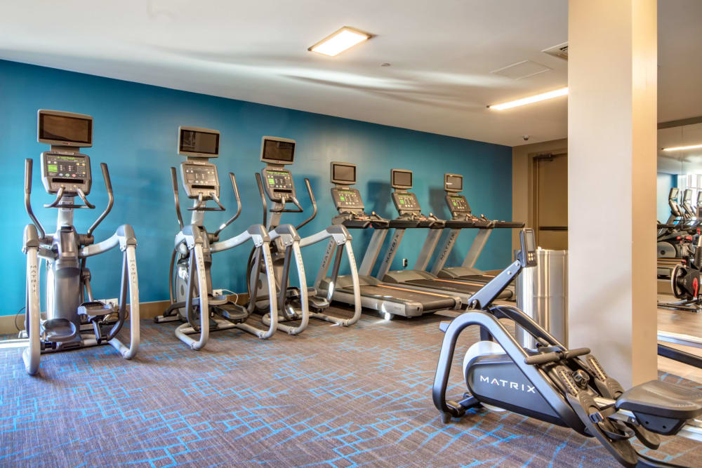 Cardio equipment in the fitness center at The Residences at Annapolis Junction in Annapolis Junction, Maryland