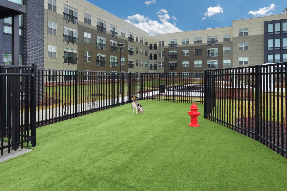Fenced dog park at The Residences at Annapolis Junction in Annapolis Junction, Maryland
