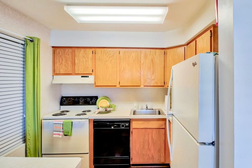 a well-lit kitchen at South Lake Apartments in Virginia Beach, Virginia