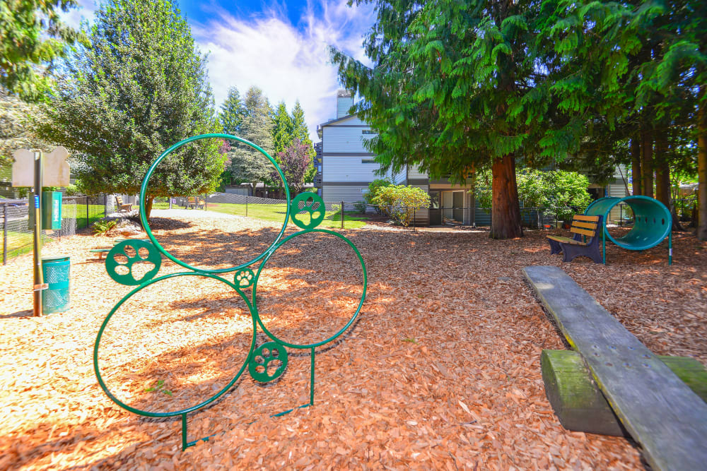 Have fun with your furry friend in the dog park at Latitude Apartments in Everett, Washington
