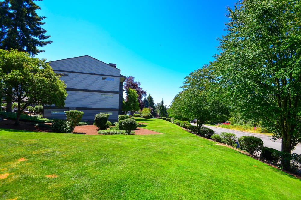 Large grassy area at Latitude Apartments in Everett, Washington