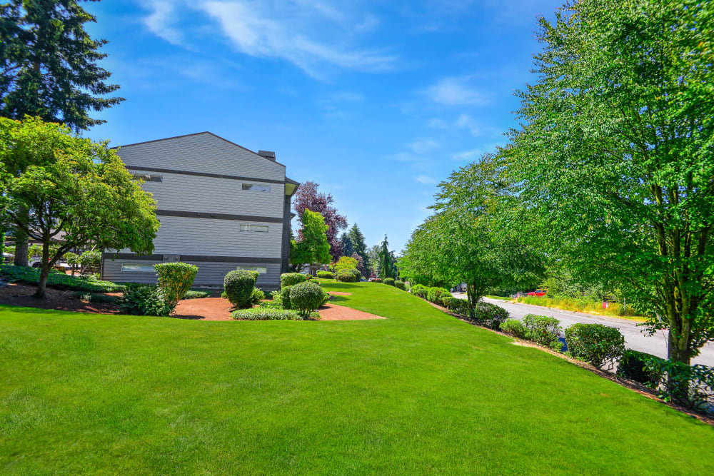 Large grassy area at Latitude Apartments in Everett, Washington