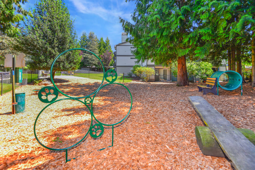 Have fun with your furry friend in the dog park at Latitude Apartments in Everett, Washington
