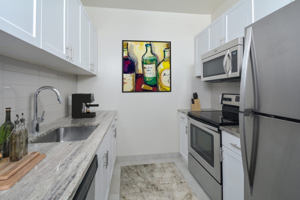 Modern kitchen with stainless-steel appliances at The Brunswick in New Brunswick, New Jersey