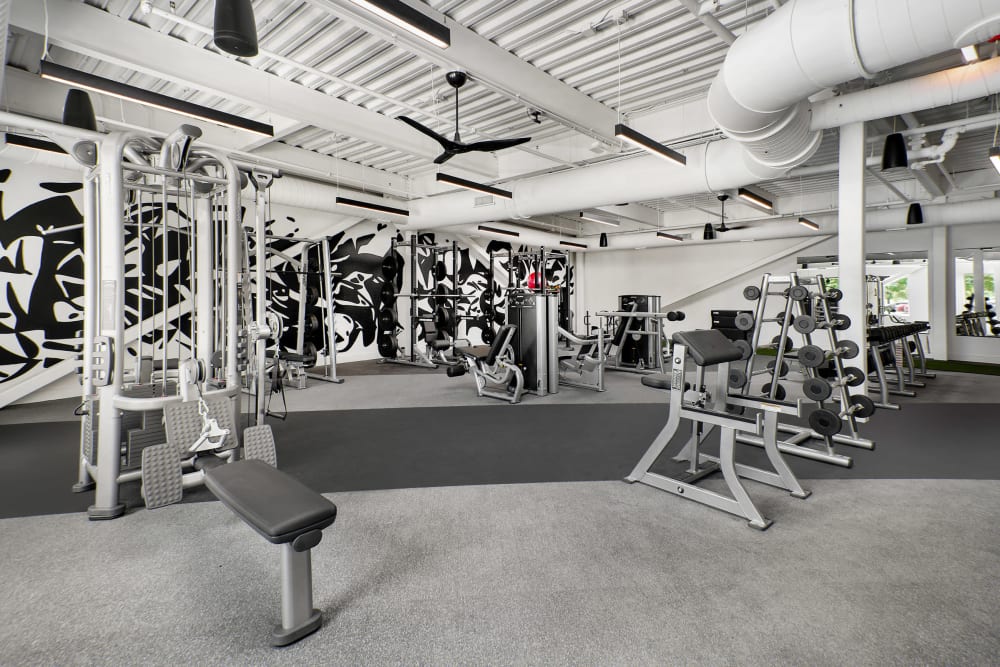 Strength Training Room at The Hub at Prairie Shores, Cross Fit Studio at The Hub at Prairie Shores Bronzeville Chicago, Fitness Center at The Hub at Prairie Shores Chicago, Multi Level Fitness Studio at Prairie Shores Apartments in Bronzeville
