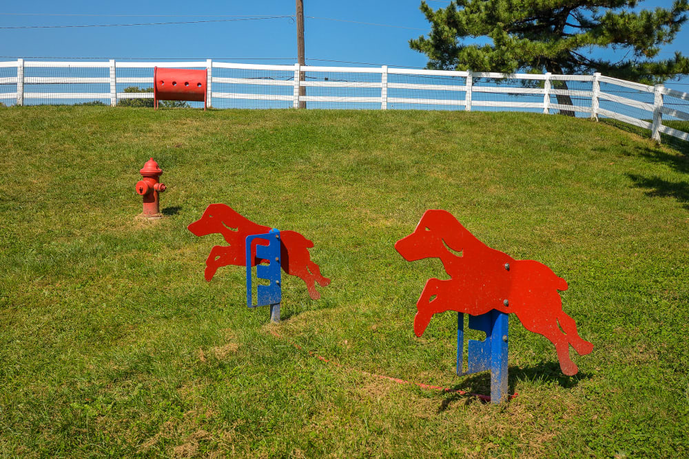 Dog park at Stonegate Apartments in Elkton, Maryland