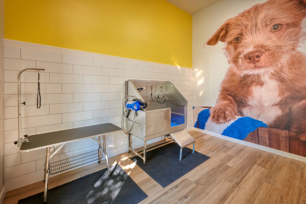 Dog Wash Room at Bluesky Landing Apartments in Lakewood, Colorado