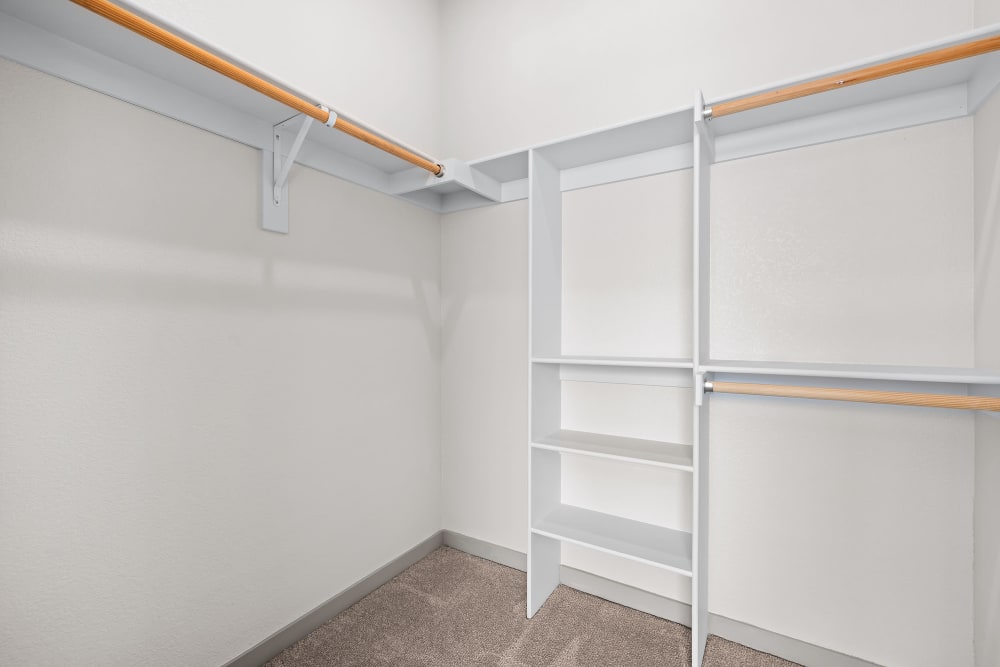 Walk in closet with shelving at Marq Iliff Station in Aurora, Colorado