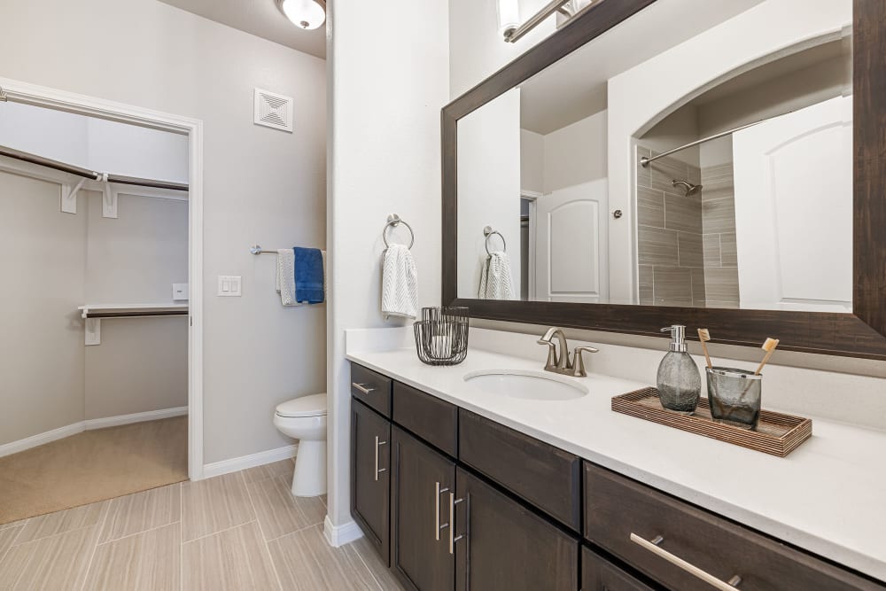 Apartments with a Bathroom at Marquis at The Woodlands