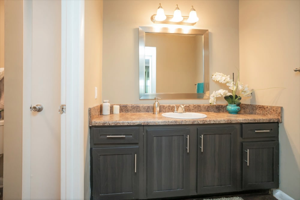 Bright bathroom with plenty of counter space at The Village at Crestview Apartments in Madison, Tennessee