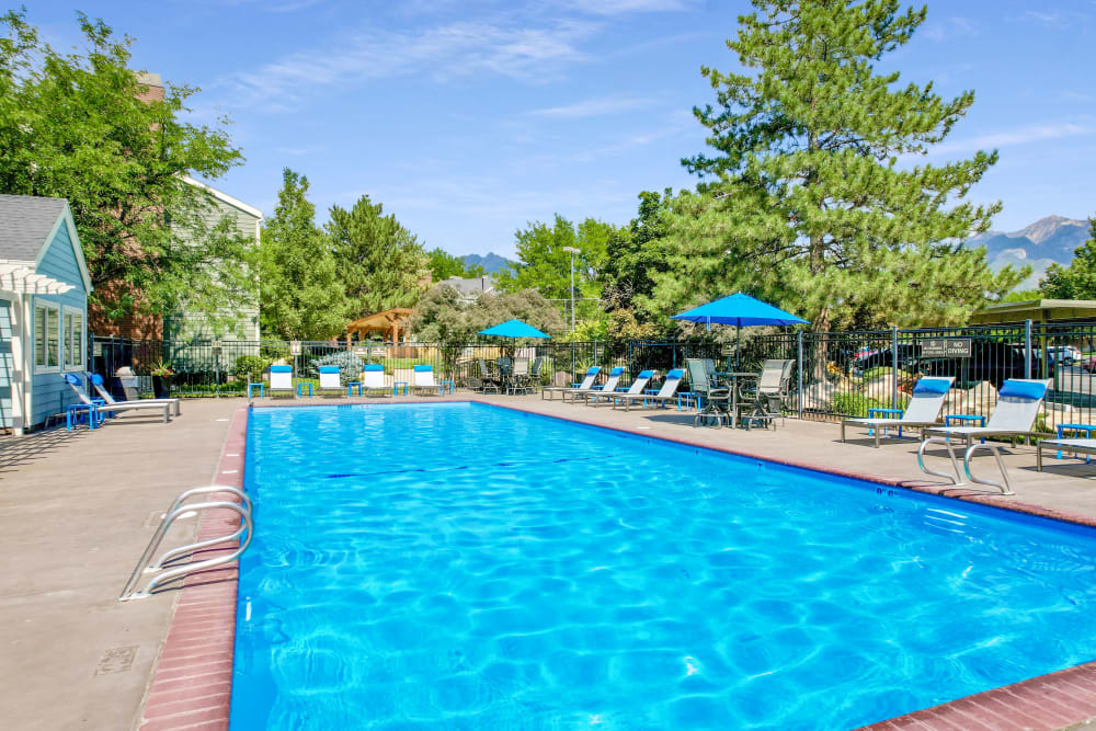 Poolside Loungers and Resort Pool at Royal Ridge Apartments in Midvale, Utah