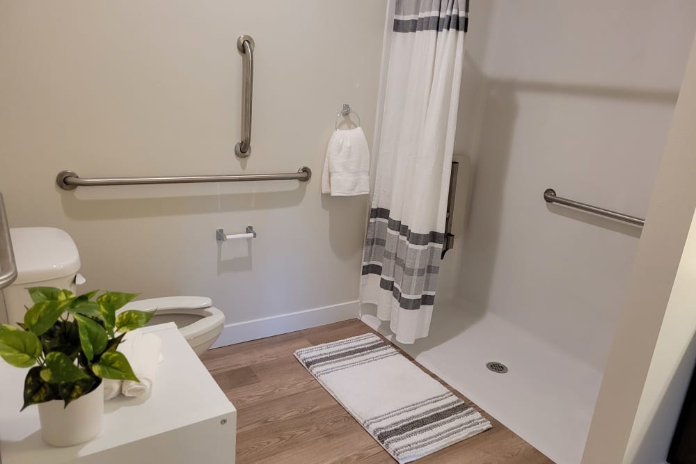 Walk-In Shower and Bath at Goodhue Living in Goodhue, Minnesota