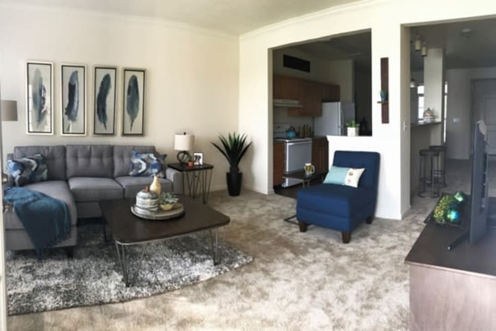 Resident living space with plush carpeting at Lakeshore Apartment Homes in Evansville, Indiana