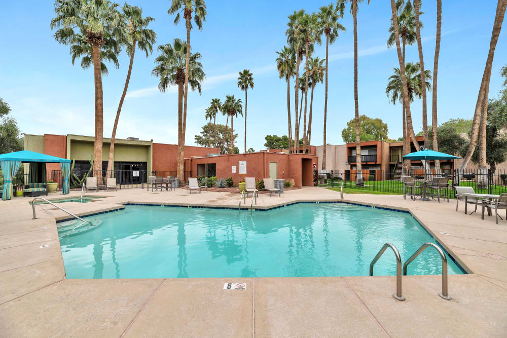 Pool surrounded by palm trees at Colter Park, Phoenix, Arizona