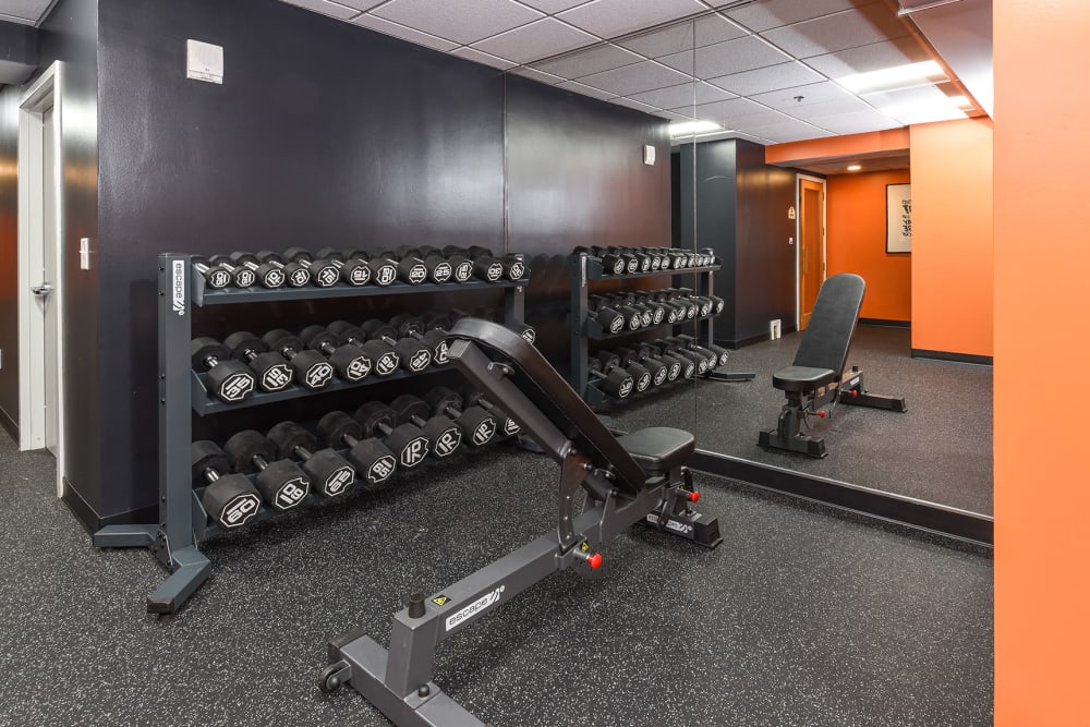 Rack of dumbbells in the fitness center at Cherry Hill Towers in Cherry Hill, New Jersey