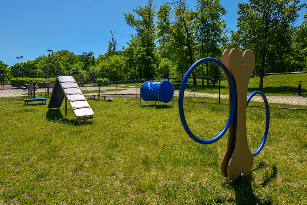 Dog park at Cherry Hill Towers, Cherry Hill, New Jersey