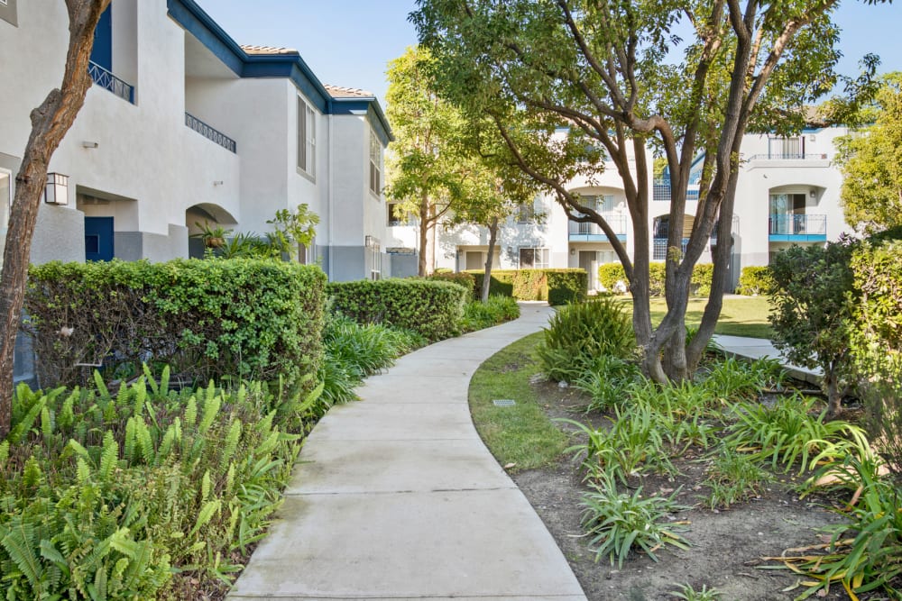 Paved walkway outside at Woodpark Apartments in Aliso Viejo, California