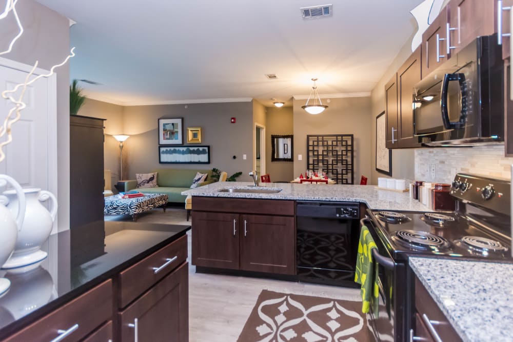 Black appliances in an apartment kitchen at Providence Trail in Mt Juliet, Tennessee