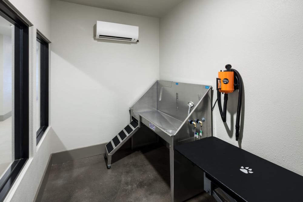 Dog washing station at Alma Hub 121 in McKinney, Texas