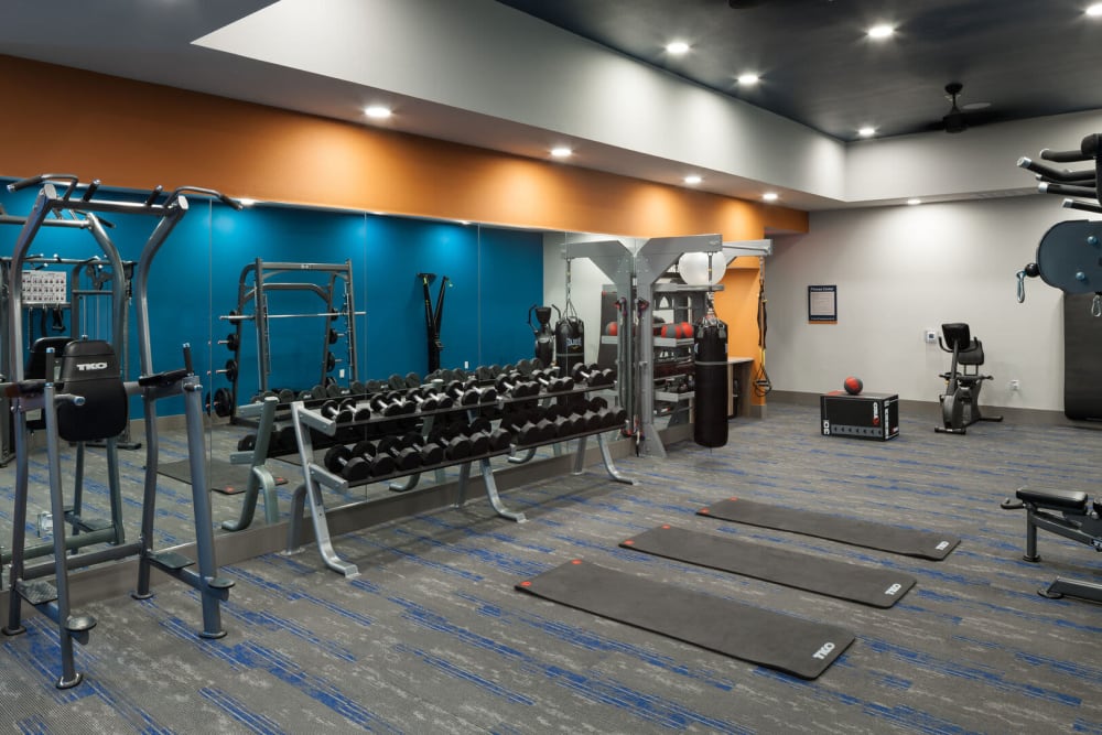Large fitness center at Axiom Hub 121 in McKinney, Texas