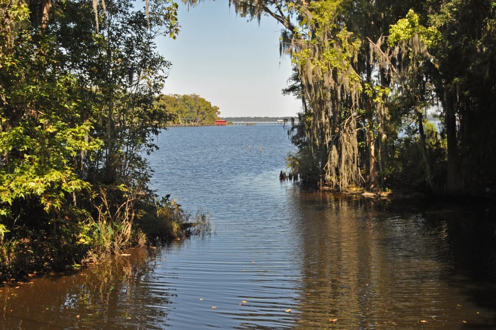 Ocean view at St. Johns Landing Apartments in Green Cove Springs, Florida