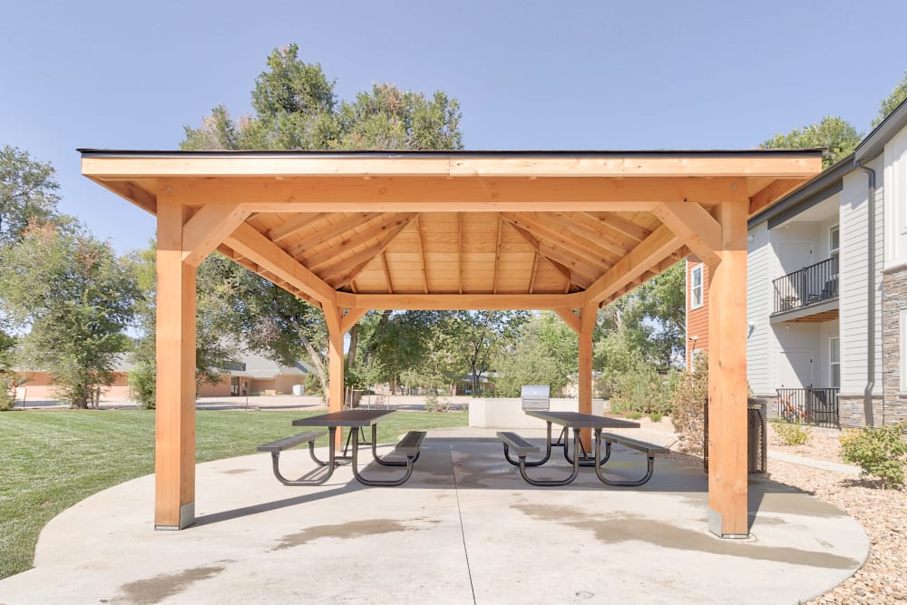 Picnic pavilion at Fields on 15th Apartment Homes in Longmont, Colorado