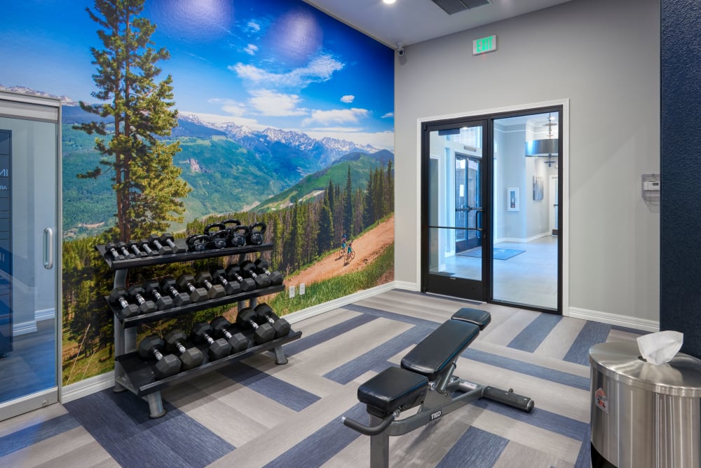 Clean, modern community gym at Promenade at Hunter's Glen Apartments in Thornton, Colorado