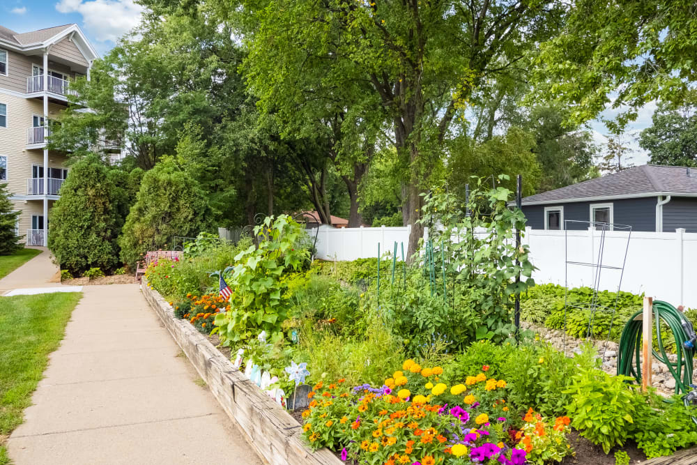 Raised-bed gardens at Applewood Pointe of Bloomington in Bloomington, Minnesota. 
