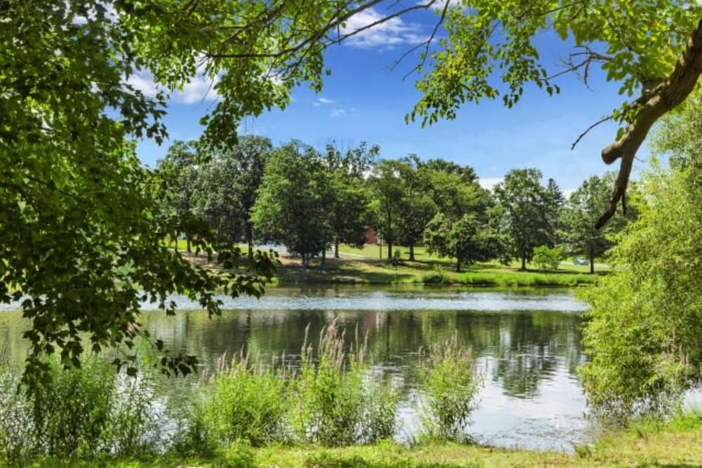 A pond on the grounds surrounding the apartments at Holly Court, Pitman, New Jersey