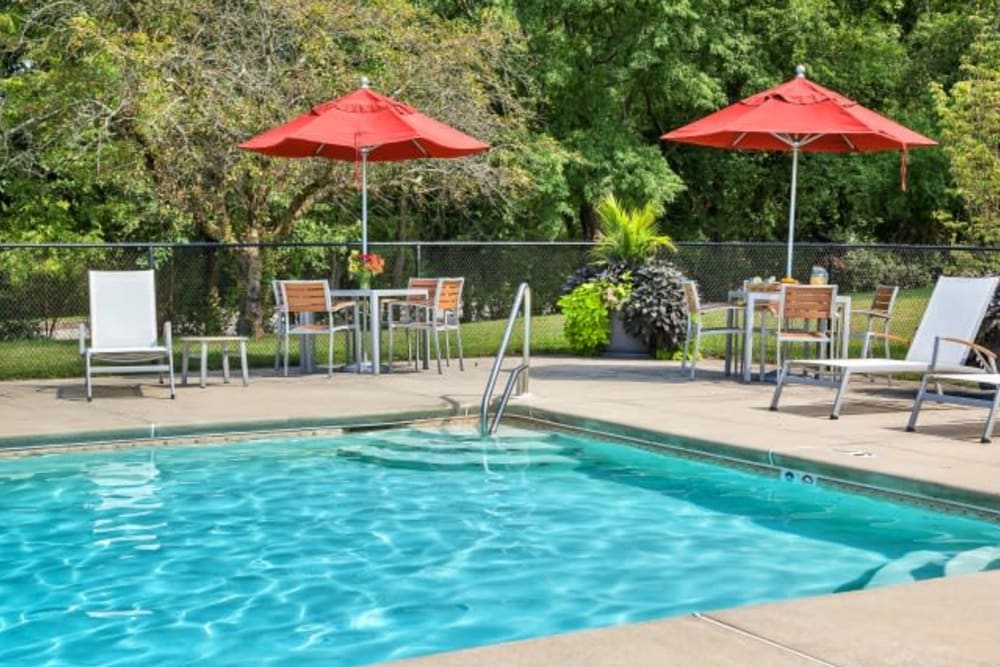 Sparkling pool with lounge chairs and umbrella at Holly Court, Pitman, New Jersey