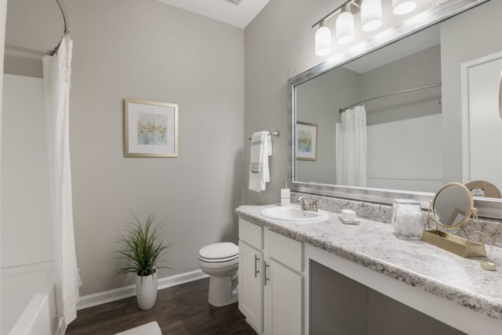 Plenty of counter space in an apartment bathroom with a bathtub at Chace Lake Villas in Birmingham, Alabama